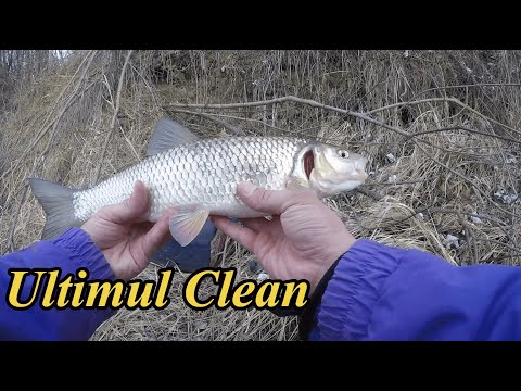 Pescuit Iarna la Clean de 44 cm si Noua Generatie :)