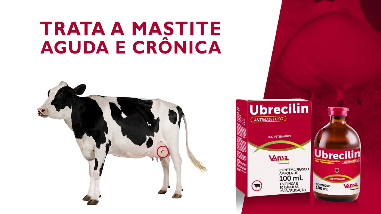 Ubrecilin - A mastite não tem vez!
