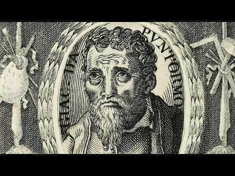 Pontormo - lost in time