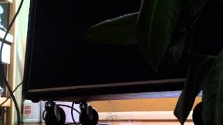 Video thumbnail for 1978 Fender Super Twin Reverb by northfortyrecords
