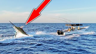 MONSTER 10 Foot Marlin EXPLODES on our Topwater Lure! (Catch n Cook)