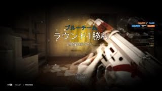 レインボーシックス　シージ　火花キル