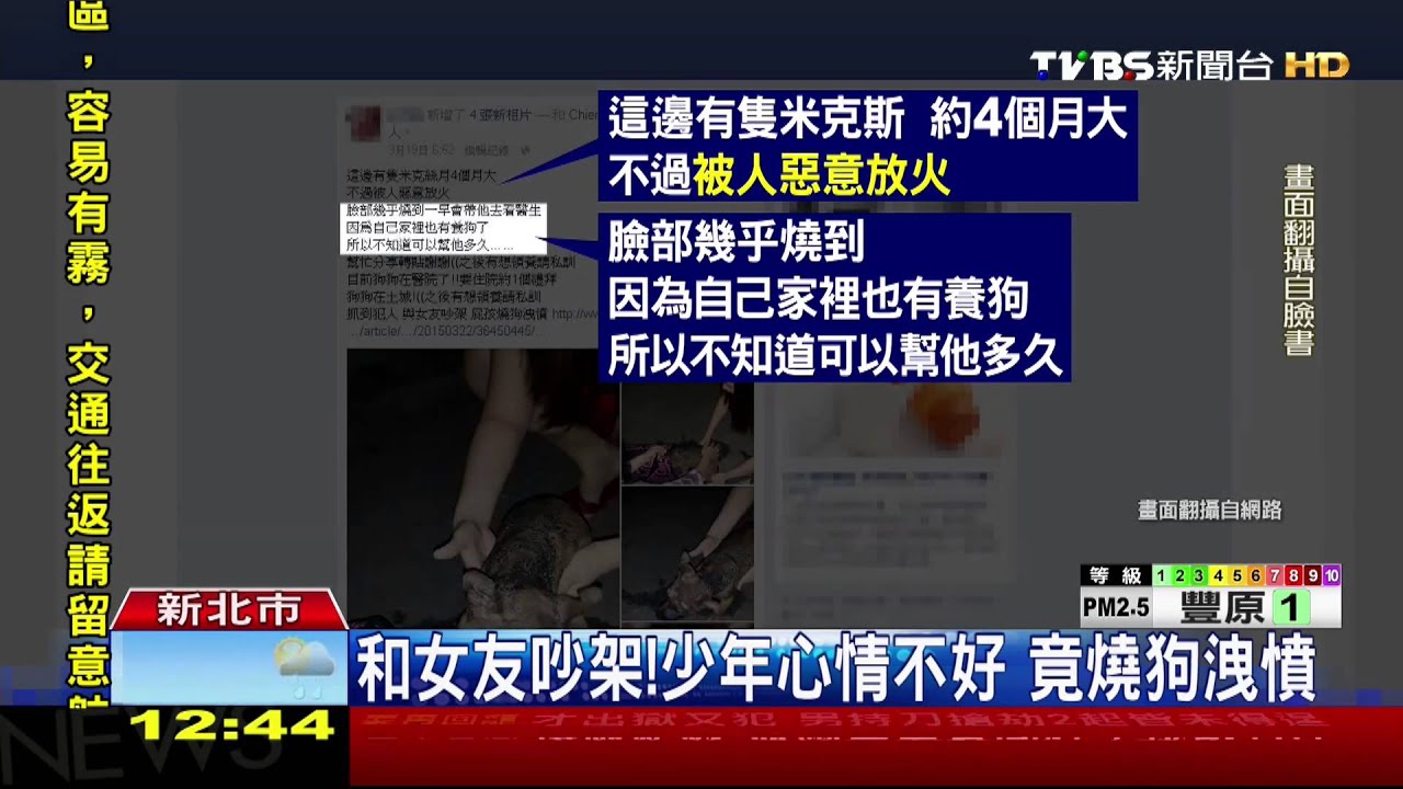 和女友吵架!少年心情不好 竟燒狗洩憤