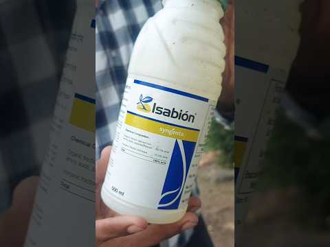 syngenta isabion tonic #farming #syngenta #agriculture