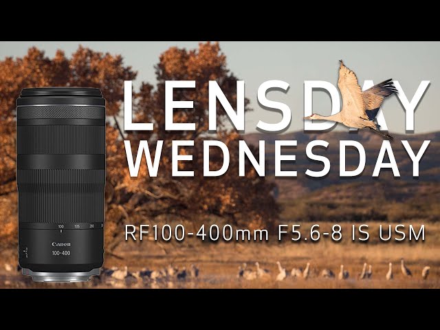 Canon RF 100-400mm f/5.6-8 IS USM Lens