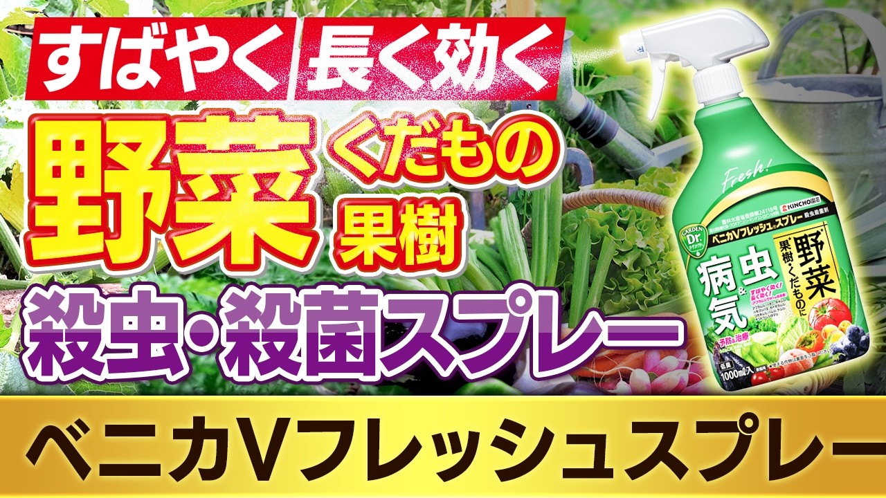 すばやく 長く効く 野菜・くだもの・果樹 殺虫殺菌スプレー～知って得する商品情報（ベニカVフレッシュスプレー）～ガーデンドクターTV80 RM