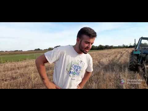 Rano jesenje oranje u Mačvi. (Rakovica 65 i Lemind Leskovac)