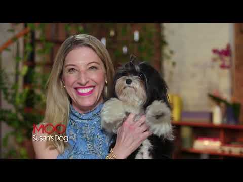 Match Me Abroad S1E1 | Matchmaker, Matchmaker: Love Journeys Begin Across Borders