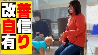 トイプードル　吠えて困るを改善する　ビヘイビアリスト