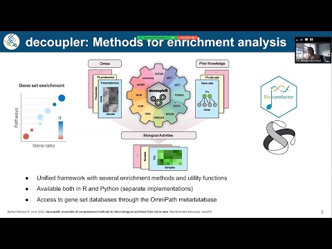 pseudobulks and differential expression with decoupler – scverse community meeting