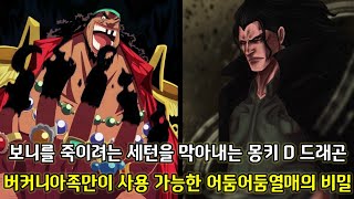 [원피스 1095화 심층분석] 어둠어둠열매를 유일하게 사용 가능한 버커니아족 티치 그리고 보니를 죽이려는 세턴을 막아내는 드래곤