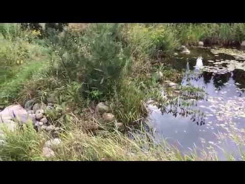 comment construire un bassin de jardin