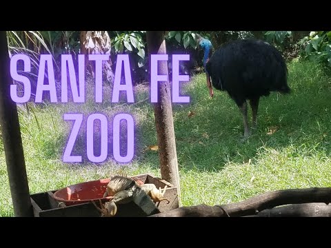 Santa Fe Zoo Medellin, Colombia