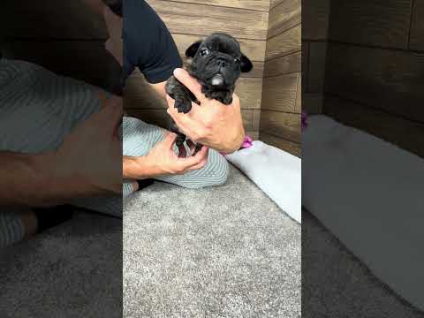 Video 4