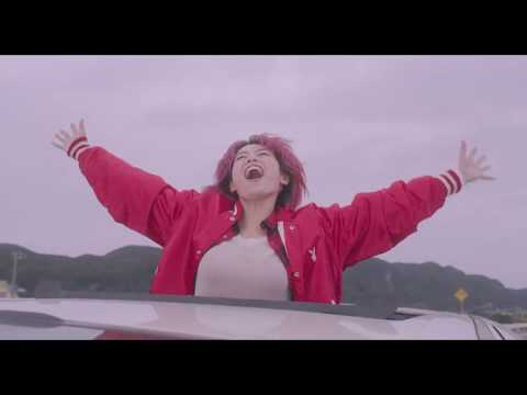 afbeelding Perfect Revolution