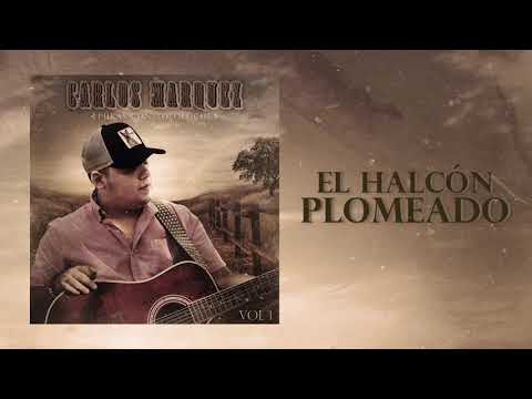 El Halcon Plomeado DISCO 2021 (En Vivo Con Tololoche) Carlos Marquez Ft Marco Alvarez