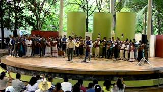 preview picture of video 'Los 10 mejores Mariachis de Colima'