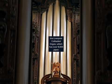 The world's largest organ on record is the Liverpool Cathedral Organ, which has over 9,000 pipes