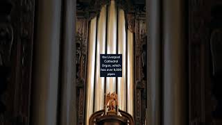 Download lagu The world's largest organ on record is the Liverpool Cathedral Organ, which has over 9,000 pipes mp3