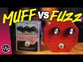 MUFF vs FUZZ: What's the Difference? | Too Afraid To Ask