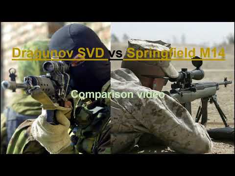 Dragunov SVD vs Springfield M14
