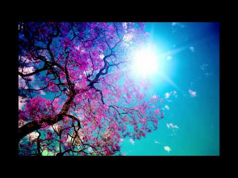 Dakota & Daniel Heatcliff - Johnny the Phoenix Pong at Night (roby K & North State Mashup)