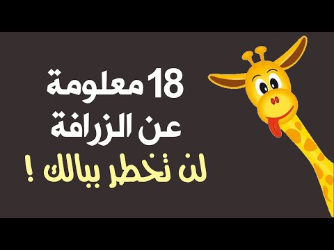 18 معلومة عن الزرافة لن تخطر ببالك !