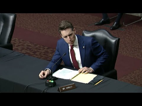 Senator Hawley Questioning on McKinsey, Deloitte CCP Conflicts of Interest in DoD Contracting