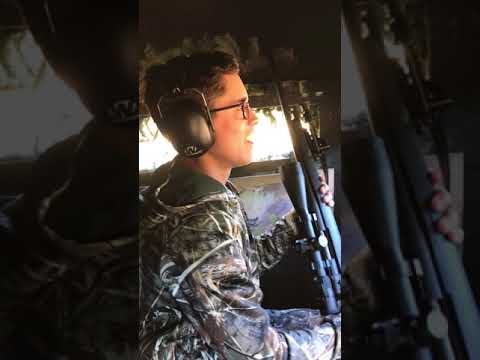 Blackbuck Hunt Sisco D Ranch Blackbuck Hunt Sisco D Ranch