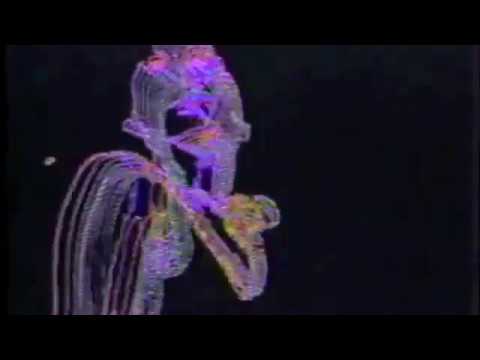 Lifelike "So Electric" (Official Video)