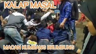 Download lagu BANTENGAN MACAN KUMBANG BRUMBUNG II Live Kajang Sukosari Kasembon mp3