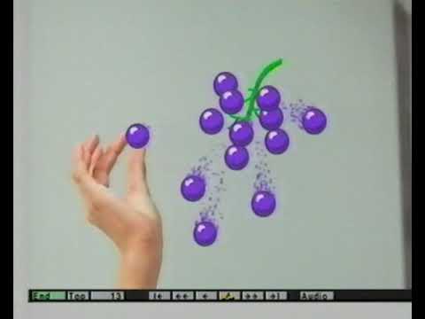 1989 SFB Von der Faszination des Machbaren  -  Computer Animation