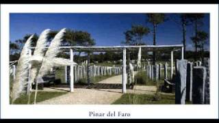 preview picture of video 'Pinar del Faro - Barrio cerrado en José Ignacio - Uruguay'