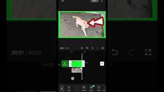 Download lagu making green screen videos for beginners capcut mp3 Download lagu making green screen videos for beginners capcut mp3