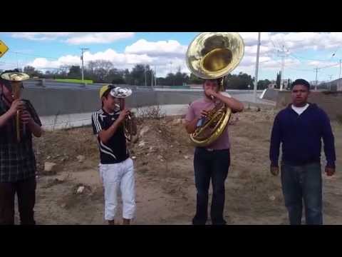 Mi Gusto Es - Banda El Terre De Jerez Zacatecas