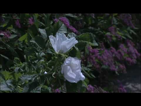 Om boende i Tokarp, Linköping - Svensk Fastighetsförmedling