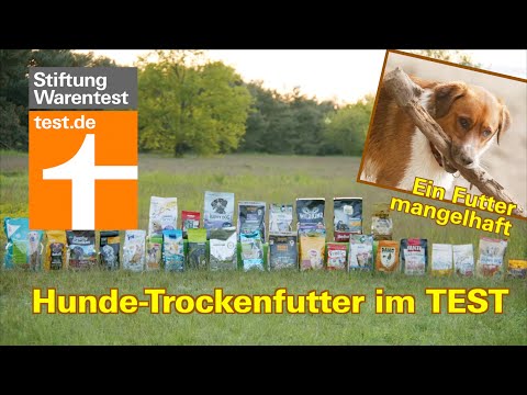 Hunde-Trockenfutter Test 2021: Wolfsblut Seniorenfutter ist mangelhaft (Hundefutter/Hundeernährung)