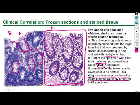 Histology Lecture 1, Chapter 1