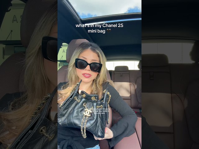 Vídeo relacionado con DGAZ Organizador Bolsos de Seda, Organizador Bolsa Interior Ligera para Chanel 25C Hobo Mini/S/M/L, Inserto de Bolsa para Bolso (Noir, Mini)