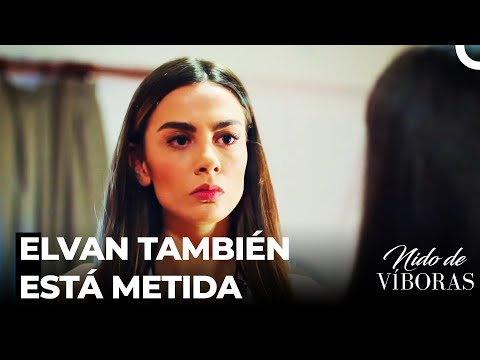 Elvan Coopera Con Besir - Nido De Víboras Capitulo 8 (Dobladas en Español