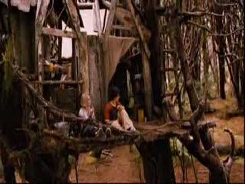 Keep Your Mind Wide Open