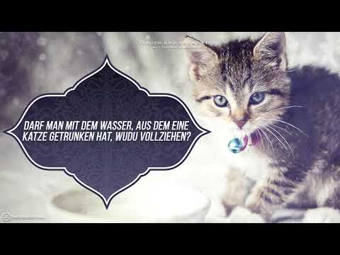 ᴴᴰ Darf man mit dem Wasser, aus dem eine Katze getrunken hat, Wudu vollziehen? - Sheikh Abdellatif
