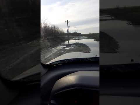 drumurile noastre Amzacea-Pecineaga