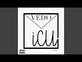 ICU (Vmix)