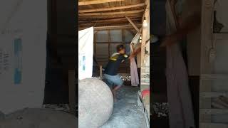 Download lagu Tingki Wingki Parody #shorts mp3 Download lagu Tingki Wingki Parody #shorts mp3