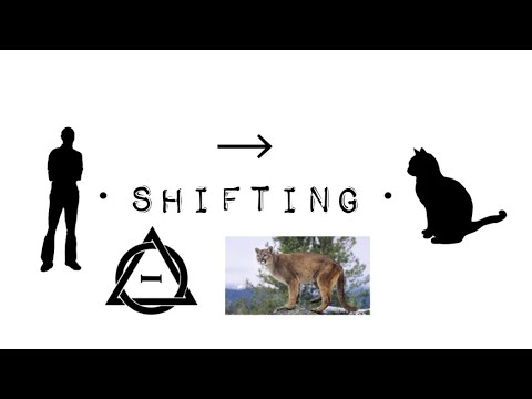 Different types of shifts | therian shifting |