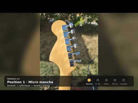 Fender 25th Anniversary Stratocaster 1979 - 1980 Silver Metallic image 26