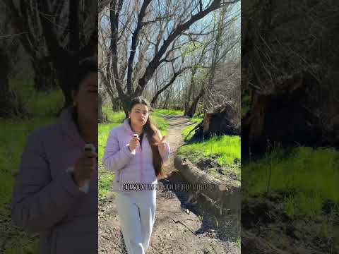 Balneario Coronel Suárez- Buenos Aires- Argentina #argentina #nature