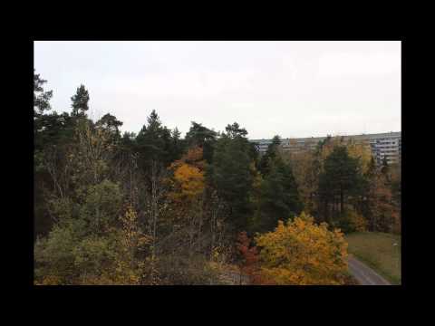 Fall 2014. Kometvägen, Täby