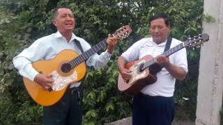 En mi Agonia    pasillo